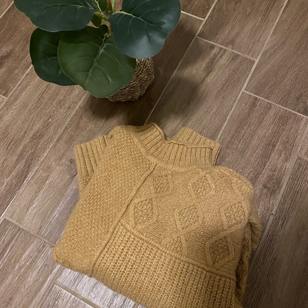 AE turtleneck sweater